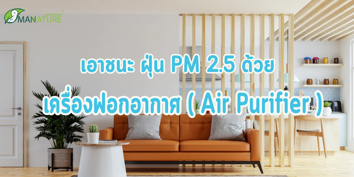 เอาชนะ ฝุ่น PM 2.5 ด้วย เครื่องฟอกอากาศ ( Air Purifier )